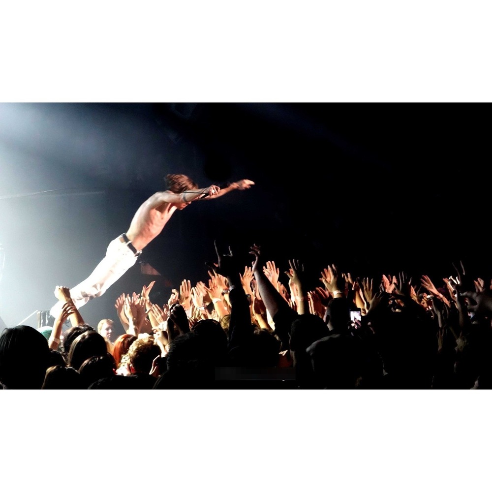 Cage the Elephant Matt Schultz Concert Stage Dive Art Print Unframed 8x10